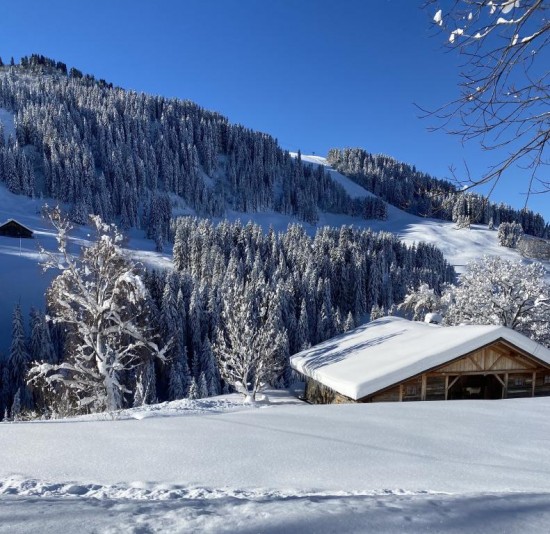 Chalet La Dartuelle