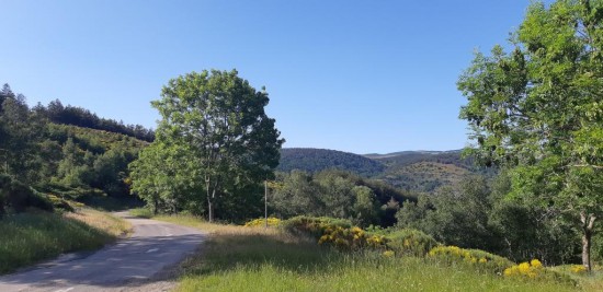 Villa à la lisière de la forêt 